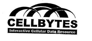 CELLBYTES INTERACTIVE CELLULAR DATA RESOURCES logo