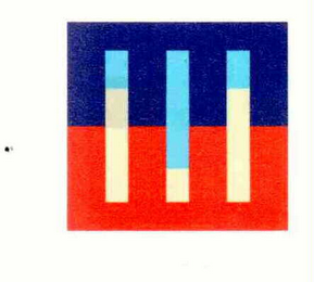 CELLFAST COMPUTER PROGRAM logo