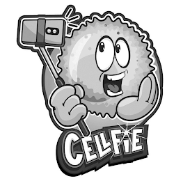CELLFIE logo