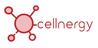 CELLNERGY logo