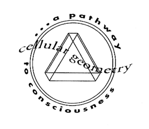 CELLULAR GEOMETRY A PATHWAY TO CONSCIOUSNESS logo