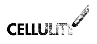 CELLULITE logo
