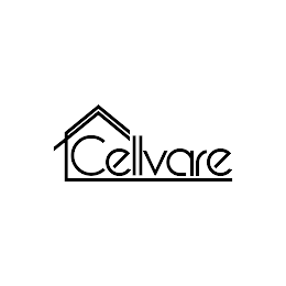 CELLVARE logo