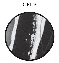 CELP logo