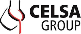 CELSA GROUP logo