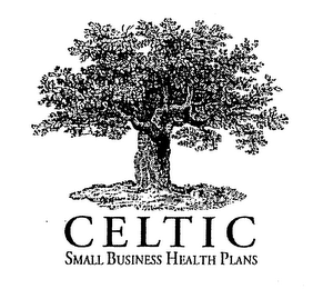CELTIC SMALL BUSINESS HEALTH PLANS logo