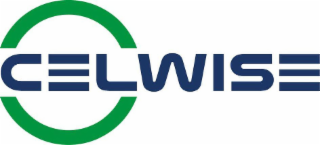 CELWISE logo