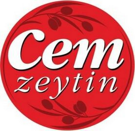 CEM ZEYTIN logo
