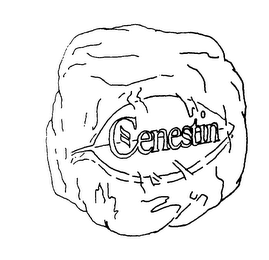 CENESTIN logo