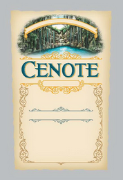 CENOTE logo