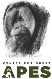 CENTER FOR GREAT APES logo