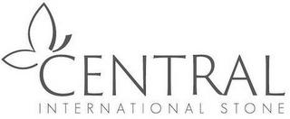CENTRAL INTERNATIONAL STONE logo