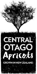 CENTRAL OTAGO APRICOTS GROWN IN NEW ZEALAND logo