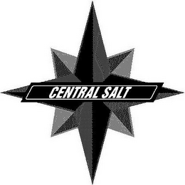 CENTRAL SALT logo