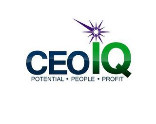 CEO IQ POTENTIAL · PEOPLE · PROFIT logo