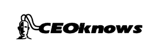 CEOKNOWS logo