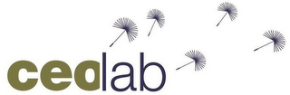 CEOLAB logo