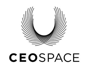 CEOSPACE logo