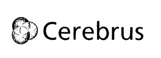 CEREBRUS logo