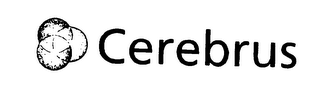 CEREBRUS logo