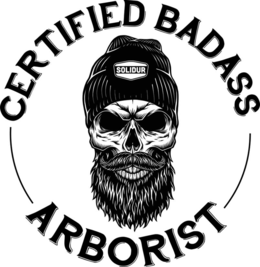 CERTIFIED BADASS ARBORIST SOLIDUR logo