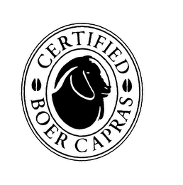 CERTIFIED BOER CAPRAS logo