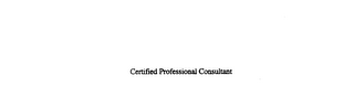 CERTIFIED PROFESSIONAL CONSULTANT logo