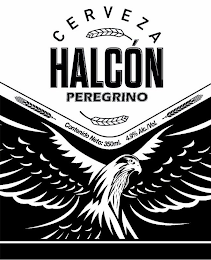 CERVEZA HALCÓN PEREGRINO CONTENIDO NETO: 350 ML. 4.9% ALC./VOL. logo