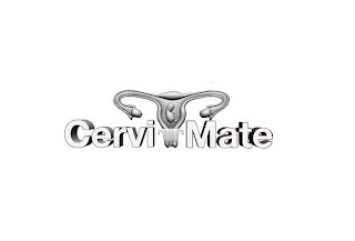 CERVI MATE logo