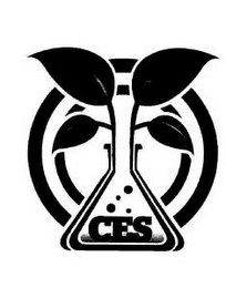 CES logo