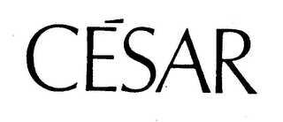 CESAR logo