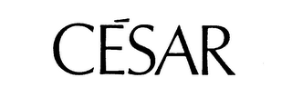 CESAR logo