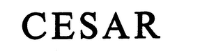 CESAR logo