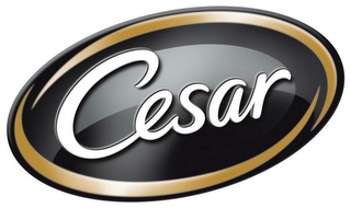 CESAR logo