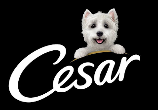 CESAR logo