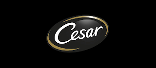 CESAR logo