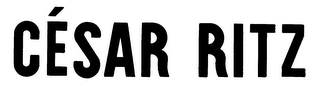 CESAR RITZ logo