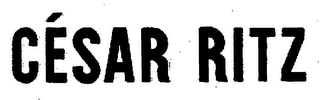 CESAR RITZ logo