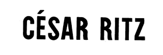 CESAR RITZ logo