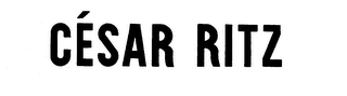 CESAR RITZ logo