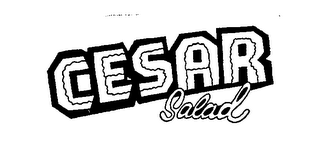 CESAR SALAD logo