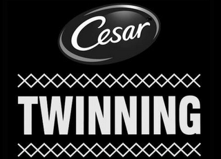 CESAR TWINNING logo