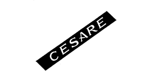 CESARE logo