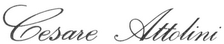 CESARE ATTOLINI logo