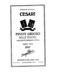 CESARI - PINOT GRIGIO DELLE VENEZIE -FRANCO CESARI logo
