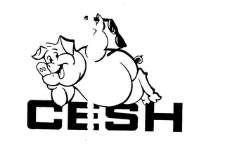 CESH logo