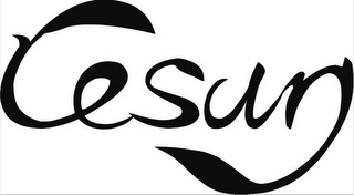 CESUN logo