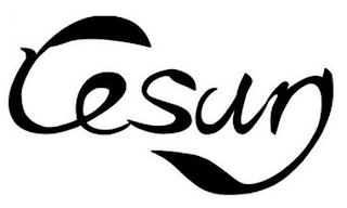 CESUN logo