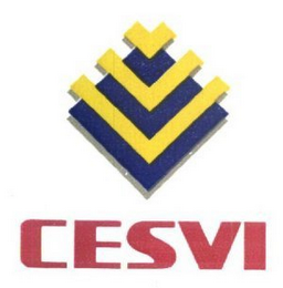 CESVI logo
