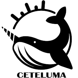 CETELUMA logo